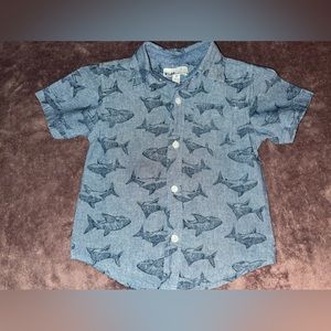 Shark button-up